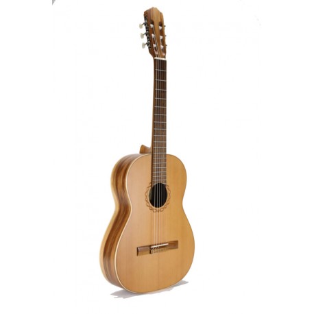 Guitarra Raimundo 105M