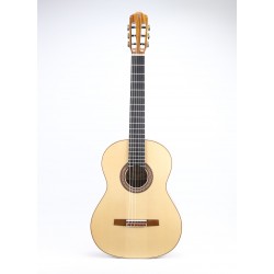 Guitarra Raimundo 132