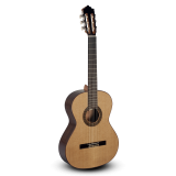 Guitarra Clásicas paco castillo 202