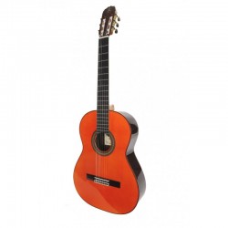 Guitarra Raimundo 126...