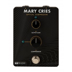 PRS GUITARS MARY CRIES...