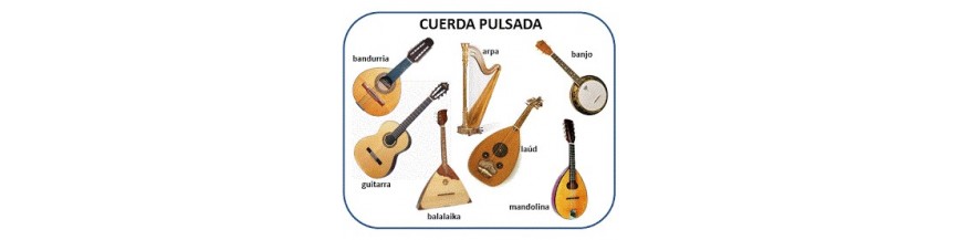 instrumentos de cuerda pulsada guitarras